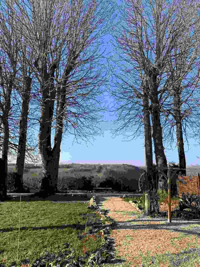 La Flavignienne Bed & Breakfast Flavigny-sur-Ozerain Luaran gambar